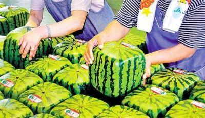 ��8-long8(����)Ψһ�ٷ���վ